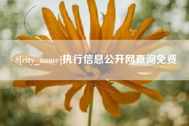 香港执行信息公开网查询免费