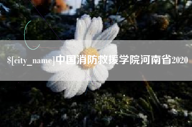 香港中国消防救援学院河南省2020
